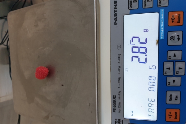 20191003-1149524275380E-D3CE-5DDB-4464-A42FD6D217A0.jpg